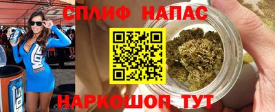 индика Обнинск