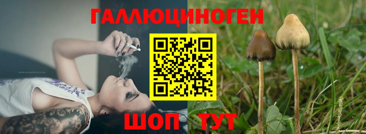 Псилоцибиновые грибы MAGIC MUSHROOMS Урай